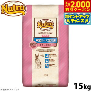 y2000~OFFN[|IX|Cgő55{I{Izj[g i``CX hbOt[h ^`^ p `L 15kg Y  [NC-AD]