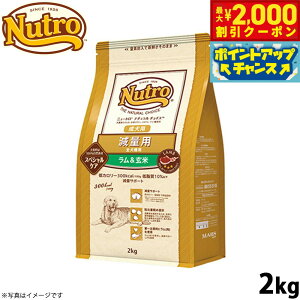 y2000~OFFN[|IX|Cgő55{I{Izj[g i``CX hbOt[h ʗp p  2kg Y v~A/ybgObY [NC-WT]