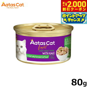 y2000~OFFN[|IX|Cgő55{I{IzA^X Aatas Lbgt[h \EX[p[t[h CgciwithP[ 80g Y sgp OCt[ SNp SL 