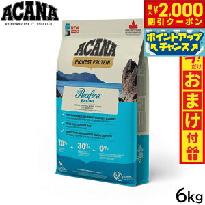 y2000~OFFN[|IX|Cgő55{I{IzAJi ACANA hbOt[h nCGXgveC pVtBJhbOVs S SNp sgp 6kgyz Ki 