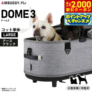 y2000~OFFN[|IX|Cgő55{I{IzGAoM[ tH[ ybg h[3 RbgP [W A[XubNyzAIRBUGGY ybgJ[g  L AD2501