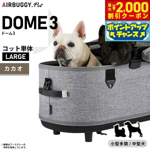 y2000~OFFN[|IX|Cgő55{I{IzGAoM[ h[3 Rbg P [W JJIyzAIRBUGGY ybgJ[g  L AD2506