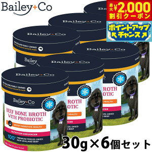 y2000~OFFN[|IX|Cgő55{I{IzxC[R[ Bailey{Co t[YhC Tvg r[t {[ uX voCIeBNX 30g×6Zbg X[v ӂ肩 g