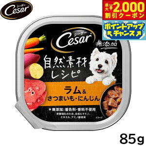 y2000~OFFN[|IX|Cgő55{I{IzV[U[ hbOt[h gC p RfރVs ܂ ɂ񂶂 85g ʋl