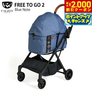 y2000~OFFN[|IX|Cgő55{I{IzRybg ybgJ[g tBJS[ t[gDS[2 u[m[g Rr combi J[g