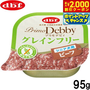 y2000~OFFN[|IX|Cgő55{I{Izfrt d.b.f hbOt[h vfrB OCt[ VjAp r[t 95g Y 