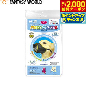 y2000~OFFN[|IX|Cgő55{I{Izt@^W[[h bV}Y    