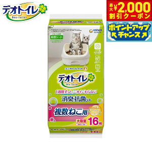 y2000~OFFN[|IX|Cgő55{I{Izj `[ fIgC ˂p ӂ荁L RۃV[g i`\[v̍ 16 Lp VXegC