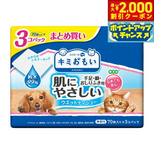 y2000~OFFN[|IX|Cgő55{I{IzGG[ L~ ɂ₳EGbgeBV[ 99% 70×3P