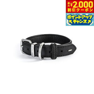 y2000~OFFN[|IX|Cgő55{I{IzC[W[hbO EZY DOG U[J[ S ubN