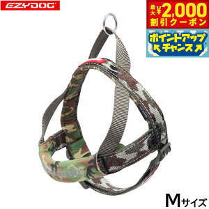 y2000~OFFN[|IX|Cgő55{I{IzC[W[hbO EZYDOG NCbNn[lX M O[Jyz ȒP  ^