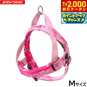 y2000~OFFN[|IX|Cgő55{I{IzC[W[hbO EZYDOG NCbNn[lX M sNJyz ȒP  ^