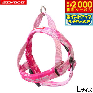 y2000~OFFN[|IX|Cgő55{I{IzC[W[hbO EZYDOG NCbNn[lX L sNJyz ȒP  ^