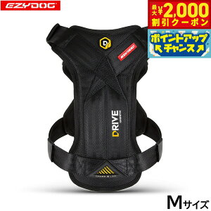 y2000~OFFN[|IX|Cgő55{I{IzC[W[hbO EZYDOG hCun[lX M ubNyz hCuObY V[gxg ^ ^