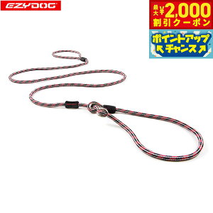 y2000~OFFN[|IX|Cgő55{I{IzC[W[hbO EZYDOG J[hCg 6mm bhyz `[N[h oRp[v