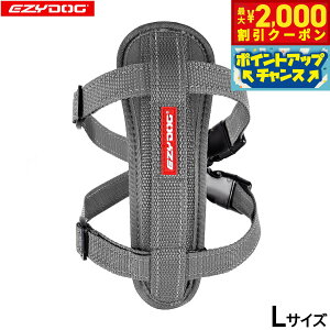 y2000~OFFN[|IX|Cgő55{I{IzC[W[hbO EZYDOG n[lX L OCyz `FXgv[g   ^