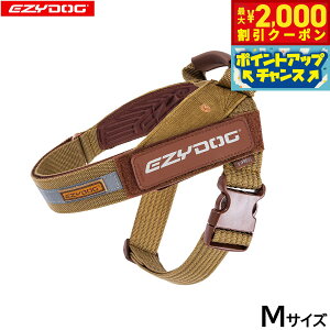 y2000~OFFN[|IX|Cgő55{I{IzC[W[hbO EZYDOG GNXvXn[lX M R[fCyz nht  ^