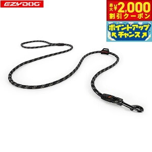 y2000~OFFN[|IX|Cgő55{I{IzC[W[hbO EZYDOG T~bg[hCg 6mm ubN oRp[v