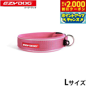 y2000~OFFN[|IX|Cgő55{I{IzC[W[hbO EZYDOG lIJ[  L sN EFbgX[cf 