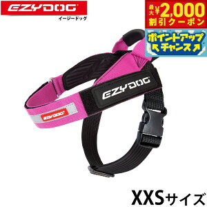 y2000~OFFN[|IX|Cgő55{I{IzC[W[hbO EZYDOG GNXvXn[lX XXS sN nht 