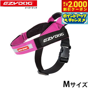 y2000~OFFN[|IX|Cgő55{I{IzC[W[hbO EZYDOG GNXvXn[lX M sN nht 