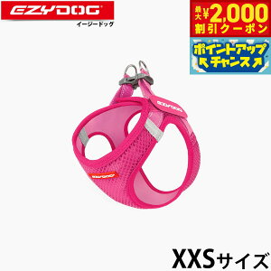 y2000~OFFN[|IX|Cgő55{I{IzC[W[hbO EZYDOG bVtBbgn[lX XXS sN ȒP  \tgf