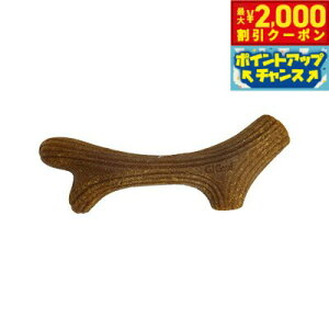 y2000~OFFN[|IX|Cgő55{I{IzGiGwi p[tFNgAg[ XS ̂ 