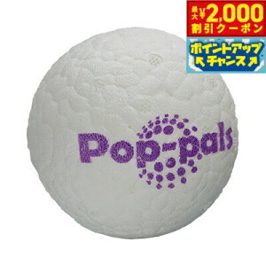 y2000~OFFN[|IX|Cgő55{I{IzGiGwi |bvp M ̂ {[