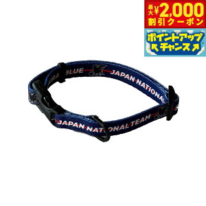 y2000~OFFN[|IX|Cgő55{I{Izt@^W[[h TbJ[{\ TCu[ J[iցj TbJ[{\ItBVCZXObY