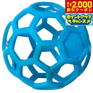 y2000~OFFN[|IX|Cgő55{I{IzJW z[[[[{[ M Cgu[