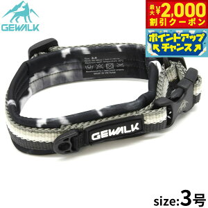 y2000~OFFN[|IX|Cgő55{I{IzWEH[N GEWALK RtH^u J[iցj 3 O[