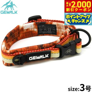 y2000~OFFN[|IX|Cgő55{I{IzWEH[N GEWALK RtH^u J[iցj 3 IW