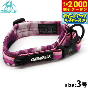 y2000~OFFN[|IX|Cgő55{I{IzWEH[N GEWALK RtH^u J[iցj 3 sN