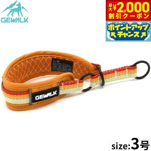 y2000~OFFN[|IX|Cgő55{I{IzWEH[N GEWALK n[t`[Niցj 3 IW