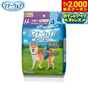 y2000~OFFN[|IX|Cgő55{I{Izj `[ }i[EFA j̎qp pbN LL 4