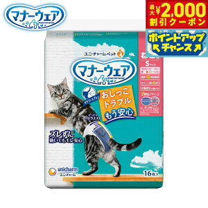 y2000~OFFN[|IX|Cgő55{I{Izj `[ }i[EFA ˂p S 16 }i[pc ނ Lp