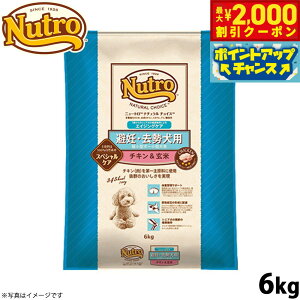 y2000~OFFN[|IX|Cgő55{I{Izj[g i``CX hbOt[h D p GCWOPA `L 6kg Y  [NC-SE]