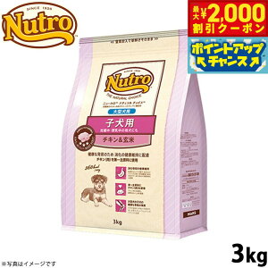 y2000~OFFN[|IX|Cgő55{I{Izj[g i``CX hbOt[h qp ^ `L 3kg Y