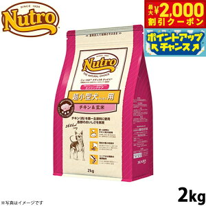 y2000~OFFN[|IX|Cgő55{I{Izj[g i``CX hbOt[h ^p GCWOPA `L 2kg VjA  Y [NC-SE]