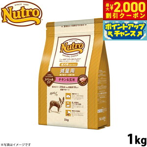 y2000~OFFN[|IX|Cgő55{I{Izj[g i``CX hbOt[h ʗp ^`^p p `L 1kg Y pi ybgpi [NC-W