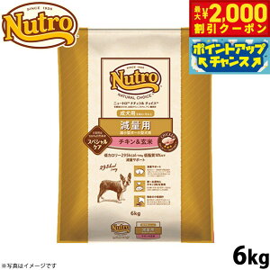 y2000~OFFN[|IX|Cgő55{I{Izj[g i``CX hbOt[h ʗp ^`^p p `L 6kg  Y[NC-WT]