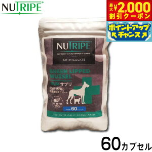 y2000~OFFN[|IX|Cgő55{I{Izj[gCv Tvg GLMTv 60JvZyz ORT~ RhC` ֐ ΃CL