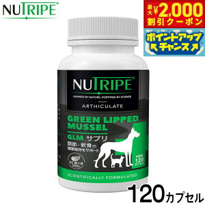 y2000~OFFN[|IX|Cgő55{I{Izj[gCv Tvg GLMTv 120JvZyz ORT~ RhC` ֐ ΃CL