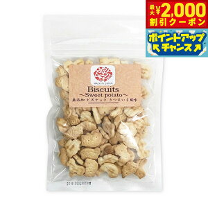 y2000~OFFN[|IX|Cgő55{I{IzI[V[t@[ Z p rXPbg܂ 100g Y