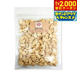 y2000~OFFN[|IX|Cgő55{I{IzI[V[t@[ Z p rXPbg܂ 300g Y