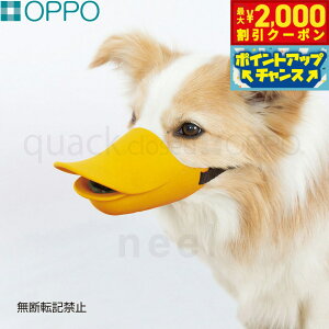 y2000~OFFN[|IX|Cgő55{I{IzOPPO quack closediNAbN N[YjLTCY pi ցi݂ ʖih~j/GUxXJ[