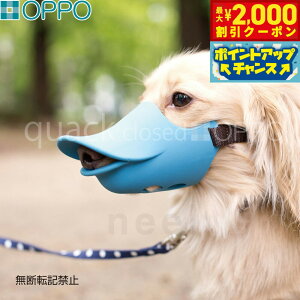 y2000~OFFN[|IX|Cgő55{I{IzOPPO quack closediNAbN N[YjMTCY pi ցi݂ ʖih~j/GUxXJ[