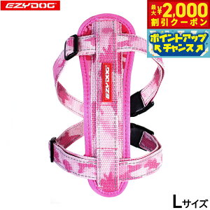 y2000~OFFN[|IX|Cgő55{I{IzC[W[hbO EZYDOG n[lX L sNJyz `FXgv[g   ^