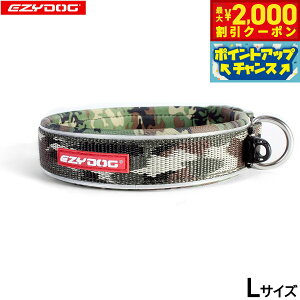 y2000~OFFN[|IX|Cgő55{I{IzC[W[hbO EZYDOG lIJ[ L O[J  EFbgX[cf  ^