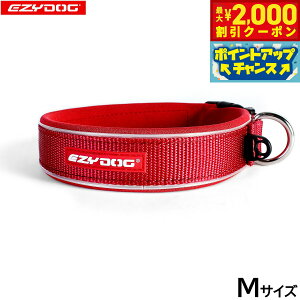 y2000~OFFN[|IX|Cgő55{I{IzC[W[hbO EZYDOG lIJ[ M bh  EFbgX[cf  ^